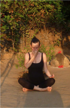 Breathwork, pranayama, atemkurs, atemtechnik, yogaatmung, yogainhamburg, yogahamburg, atemkursinhamburg, pranayamaonline, breathworkonline