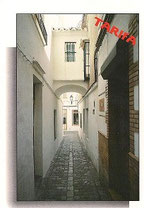 POSTAL - ESPAÑA - TARIFA. PUNTA DE EUROPA (CÁDIZ) EDICIONES ARRIBAS - 46 - CALLE TÍPICA (NUEVA) 2€.