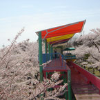 養老ランド　養老公園　岐阜　ちびっこ　遊園地