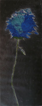 Rosa blu Ermanno Barovero