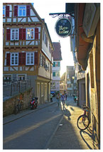 Nr. 16