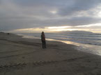 2011 Irland