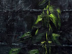 Detail aus dem Bild „Sempervivum“, 2019, Öl auf Nessel, 1oo cm x 125 cm