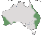 Karte zur Verbreitung des Weißohr-Honigfressers in Australien.