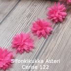 Sifonkikukka Asteri Cerise 122