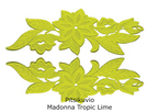 Pitsikuvio Madonna Tropic Lime