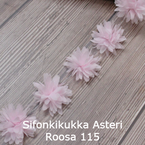 Sifonkikukka Asteri Roosa 115