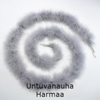 Untuvanauha harmaa