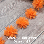 Sifonkikukka Asteri Oranssi 67