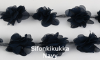 Sifonkikukka navy