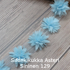 Sifonkikukka Asteri Sininen 129