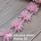 Sifonkikukka Asteri Roosa 35