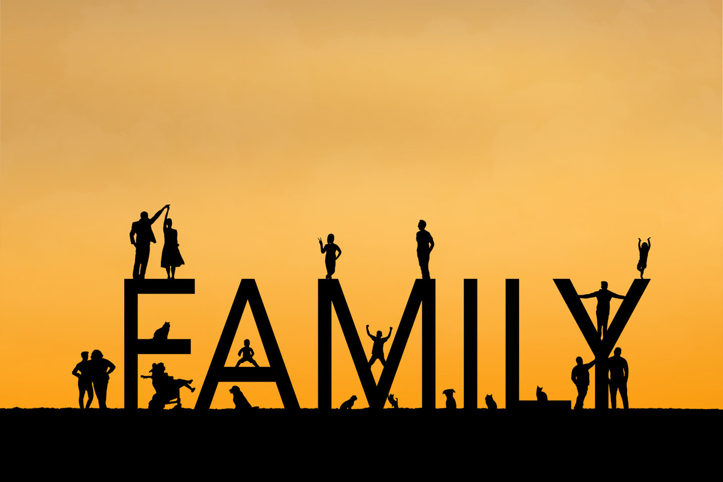 silhouettes of 13 people and 7 pets arranged around the letters FAMILY. Sky is orange. 