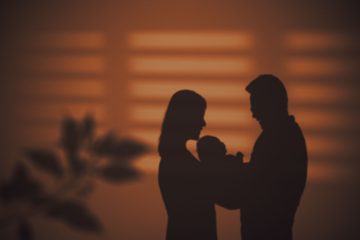 silhouette of a shadow of a branch, a mother, a new baby, and a father against a wall. Light from window also casts shadows of a blind on the wall. Wall is a pinkish-orange colour.