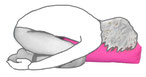 Yoga Bolster Anwendung 3