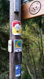 Eifel Wildnis Trek Eifelsteig outdoor-pur