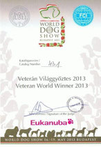 Bild anklicken um zu vergrößern 