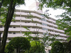 草花編・樹木編