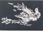 瀕死の鳩（1961～2）