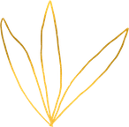 Goldene Lotusblüte – Symbol für inneres Erwachen