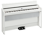 DIGITALPIANO KAUFEN