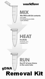 gDNA, genomic DNA removal Kit