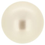 Primero 5817 Crystal Pearl Cream Rose