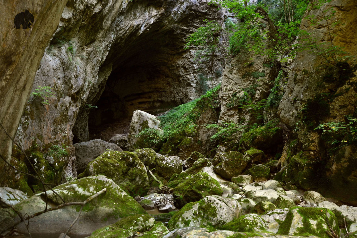Pazin Caves, Croatia