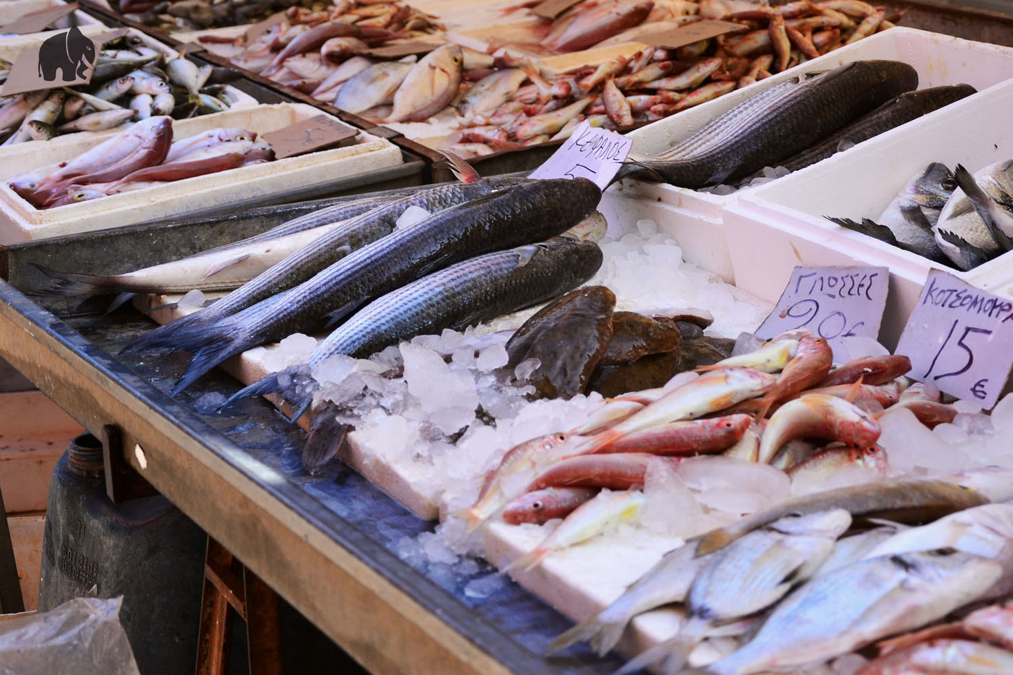 Fish Market Nafplio, Greece