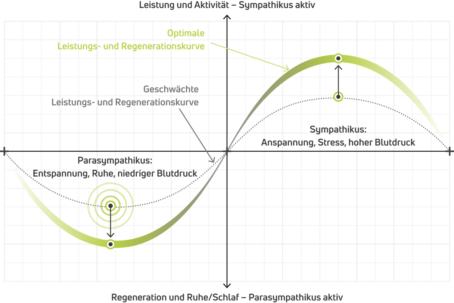 Venex, Regeneration for you Therapiebedarf und Erholung
