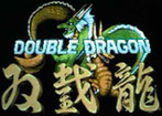 Double Dragon