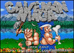 Joe & Mac / Caveman Ninja