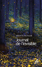 Journal de l'invisible, Pierres de Lumière, tarots, lithothérpie, bien-être, ésotérisme