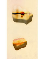 PX06