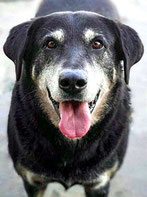 Coco, Senior