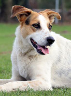 Timba