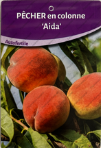 Producteur fruitiers et fruitiers nains