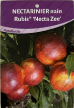 Producteur fruitiers et fruitiers nains