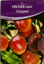 Producteur fruitiers et fruitiers nains