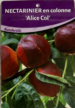 Producteur fruitiers et fruitiers nains