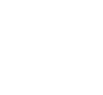 Die Hundeführschule in Liestal