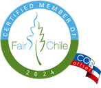 Eco-conscious and solidarity travel in Chile