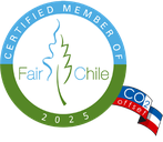 Umweltbewusst und solidarisch reisen in Chile