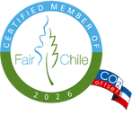 Umweltbewusst und solidarisch reisen in Chile