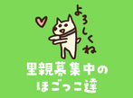 しつけ教室 Hogokko ページ しつけ教室 Hogokko ページ