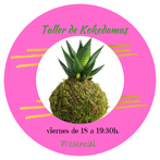 Cartel de taller mensual de kokedamas