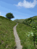 Sentiero S. Fermo al monte Antola