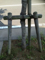 庭木の支柱の立て方 庭木で開運 自分でできる簡単な剪定