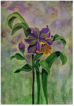 Acrylmalerei, Blüten malen