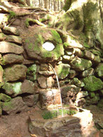 Waldquelle Elgersburg / Thüringen